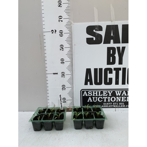 Lot 58        