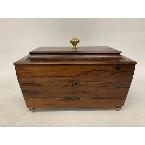 Lot 36        