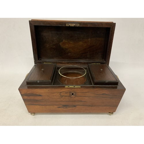 36 - A REGENCY SARCOPHAGUS WOODEN AND BRASS TEA CADDY