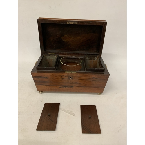 36 - A REGENCY SARCOPHAGUS WOODEN AND BRASS TEA CADDY