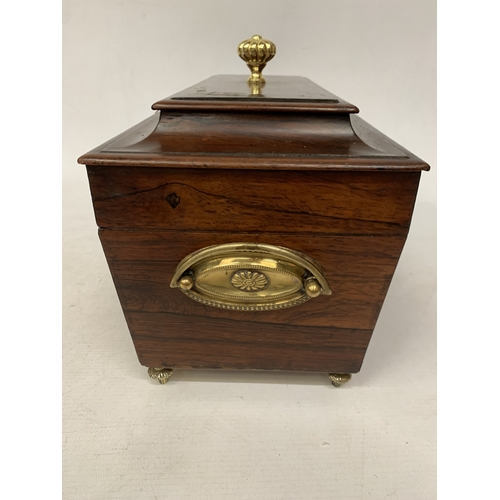 36 - A REGENCY SARCOPHAGUS WOODEN AND BRASS TEA CADDY