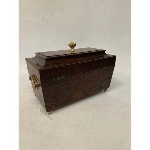 36 - A REGENCY SARCOPHAGUS WOODEN AND BRASS TEA CADDY
