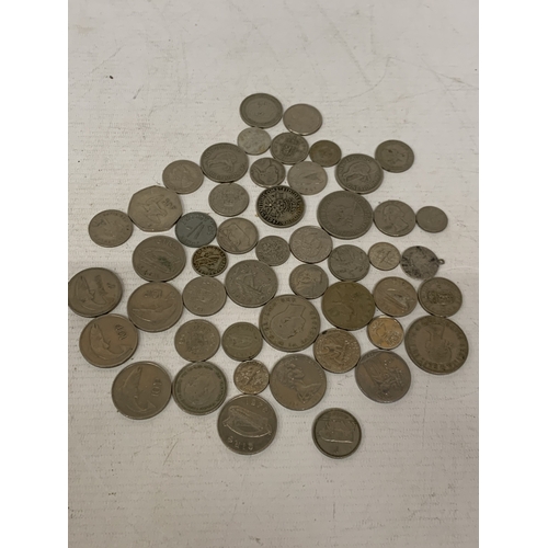 Lot 53        