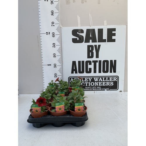 Lot 16        
