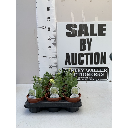 Lot 18        