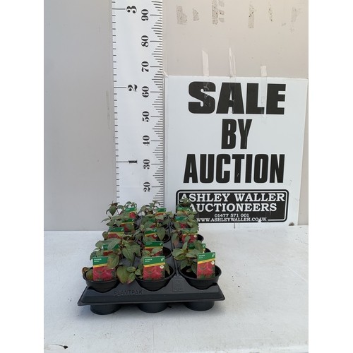 Lot 19        