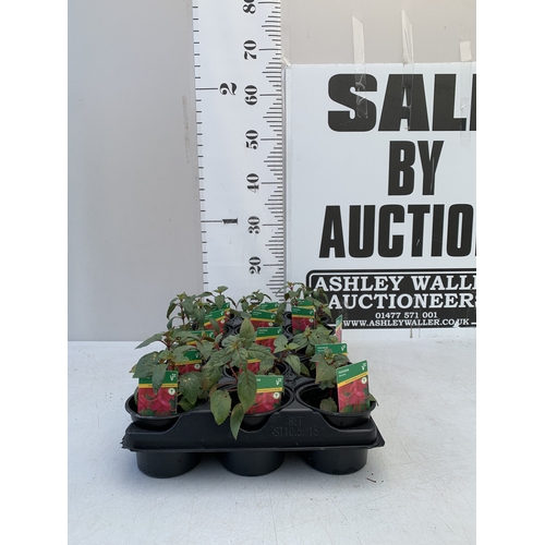 Lot 20        