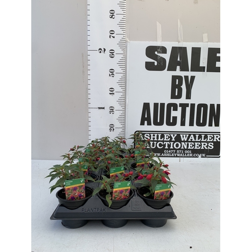Lot 22        