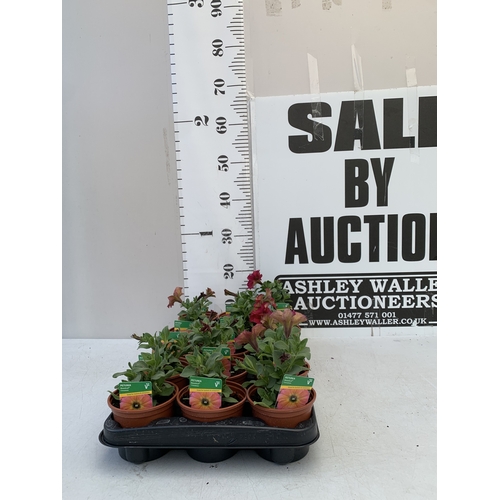 Lot 23        