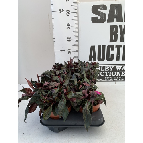 Lot 25        