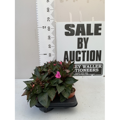 Lot 27        