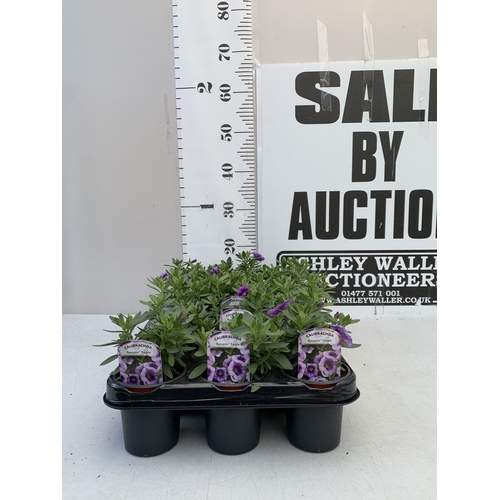 Lot 29        