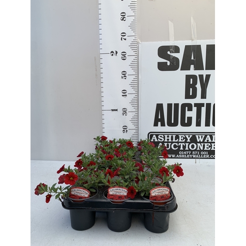 Lot 32        