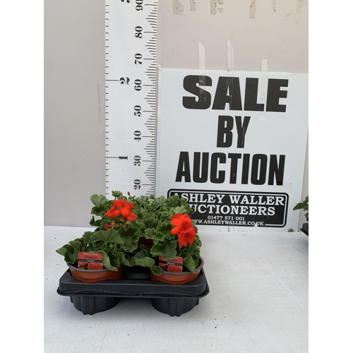 Lot 34        
