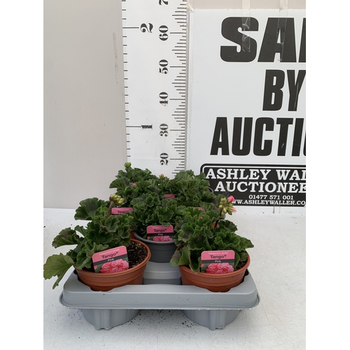 Lot 35        