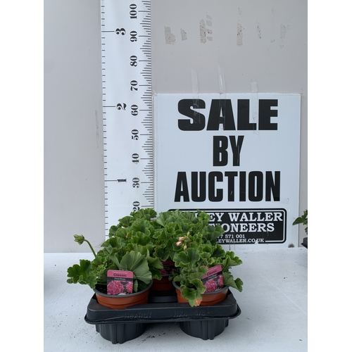 Lot 36        
