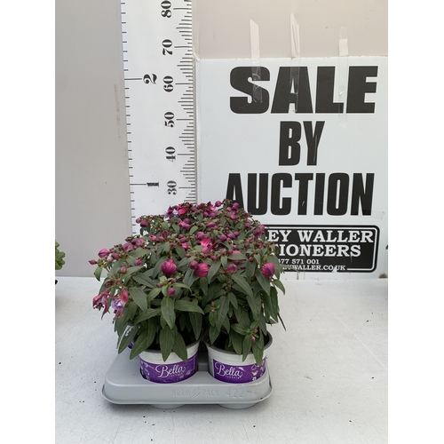 Lot 39        