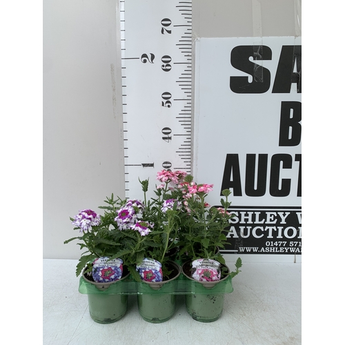 Lot 20        