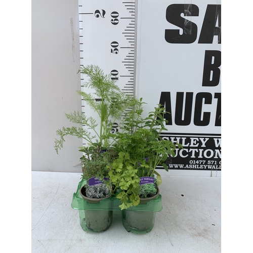 Lot 54        