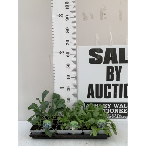Lot 56        