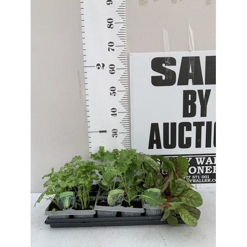 Lot 57        