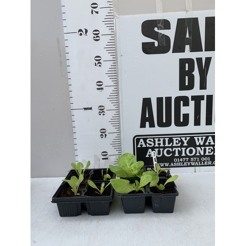 Lot 52        