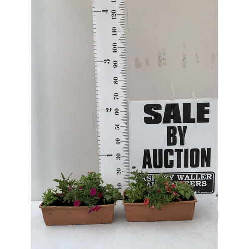 Lot 16        