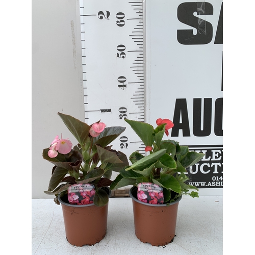 Lot 25        