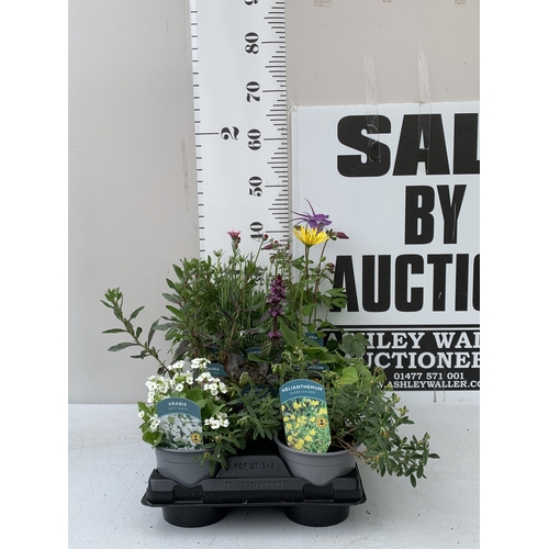 Lot 29        