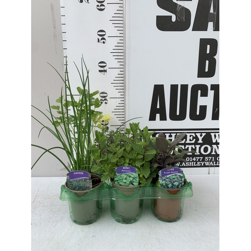 Lot 58        