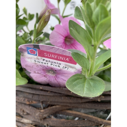 7 - ONE WICKER HANGING BASKET FILLED WITH MIXED BEDDING PLANTS TO INCLUDE SURFINIA PETUNIA SWEET PINKS A... 
