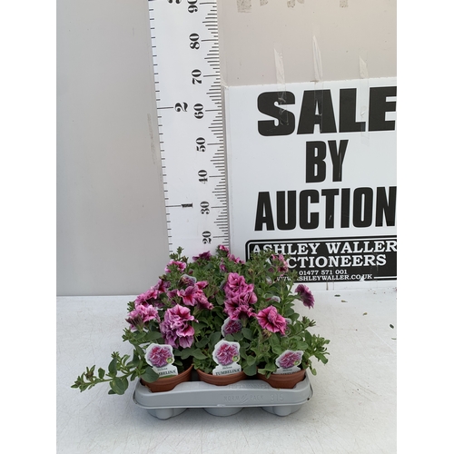 Lot 9         