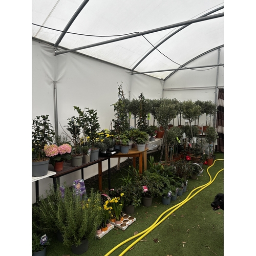 0 - WELCOME TO ASHLEY WALLER HORTICULTURE AUCTION ONLINE - LOTS ARE BEING ADDED DAILY