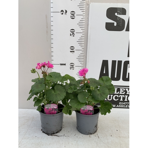 Lot 102       