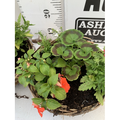 11 - TWO WICKER HANGING BASKETS FILLED WITH MIXED BEDDING TO INCLUDE GERANIUMS, VERBENA SPARKLE, LOBELIA,... 