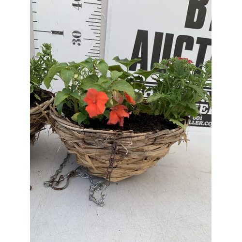 11 - TWO WICKER HANGING BASKETS FILLED WITH MIXED BEDDING TO INCLUDE GERANIUMS, VERBENA SPARKLE, LOBELIA,... 