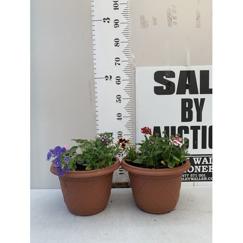 12 - TWO PLANTERS FILLED WITH MIXED BEDDING - GERANIUMS, VERBENA SPARKLE, BEGONIA NON STOPS, VOILA AND LO... 