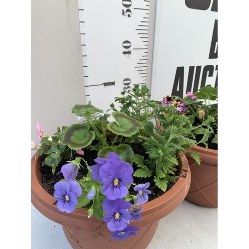 12 - TWO PLANTERS FILLED WITH MIXED BEDDING - GERANIUMS, VERBENA SPARKLE, BEGONIA NON STOPS, VOILA AND LO... 