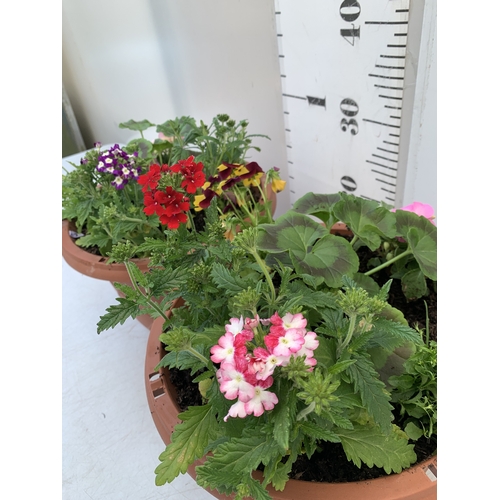 12 - TWO PLANTERS FILLED WITH MIXED BEDDING - GERANIUMS, VERBENA SPARKLE, BEGONIA NON STOPS, VOILA AND LO... 
