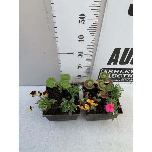 13 - TWO PLANTERS FILLED WITH MIXED BEDDING TO INCLUDE GERANIUMS, LOBELIA, BUSY LIZZIES AND VOILA ETC. PO... 