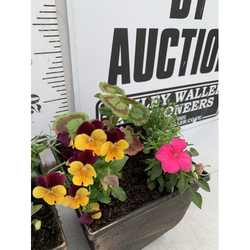 13 - TWO PLANTERS FILLED WITH MIXED BEDDING TO INCLUDE GERANIUMS, LOBELIA, BUSY LIZZIES AND VOILA ETC. PO... 