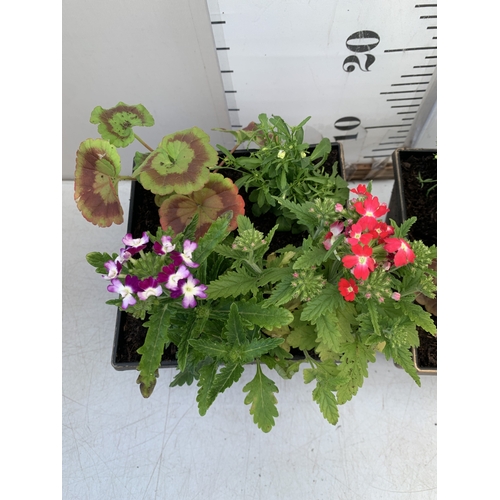 14 - TWO PLANTERS FILLED WITH MIXED BEDDING TO INCLUDE GERANIUMS, LOBELIA,  AND VERBENA SPARKLE ETC. POTS... 