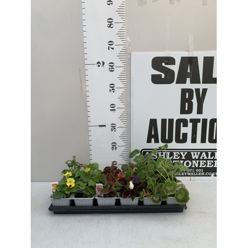 Lot 34        