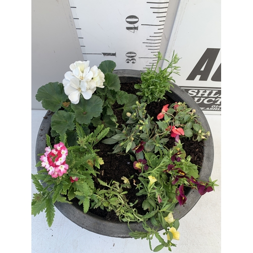 6 - ONE LARGE 20 LTR PLANTER FILLED WITH MIXED BEDDING - TO INCLUDE GERANIUM, FUCHSIA, LOBELIA, BUSY LIZ... 