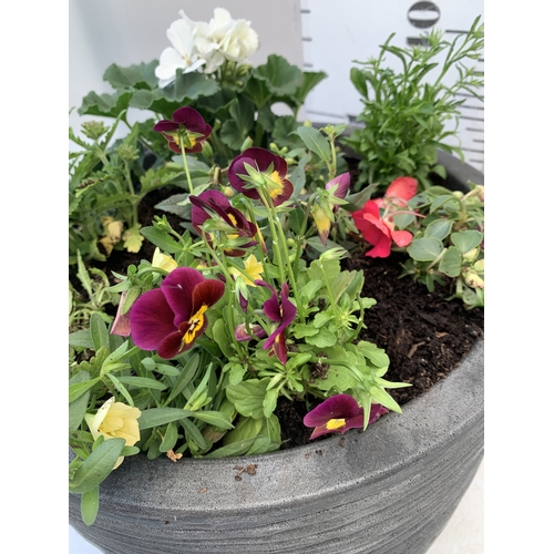 6 - ONE LARGE 20 LTR PLANTER FILLED WITH MIXED BEDDING - TO INCLUDE GERANIUM, FUCHSIA, LOBELIA, BUSY LIZ... 