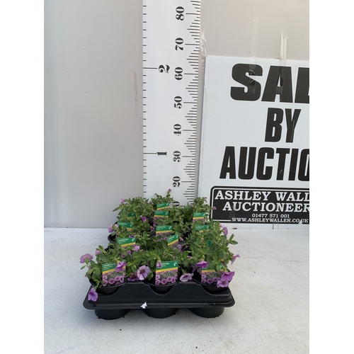 Lot 60        