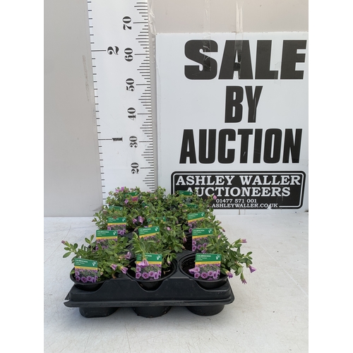Lot 61        