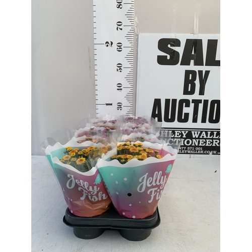 Lot 63        