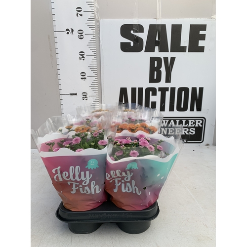 Lot 65        