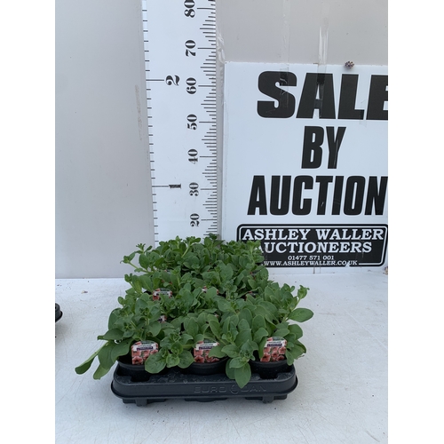 Lot 67        